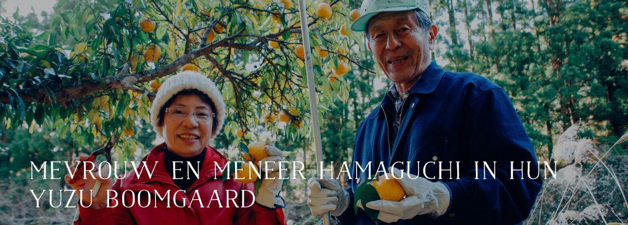 Mevrouw en meneer Hamaguchi in hun Yuzu boomgaard.